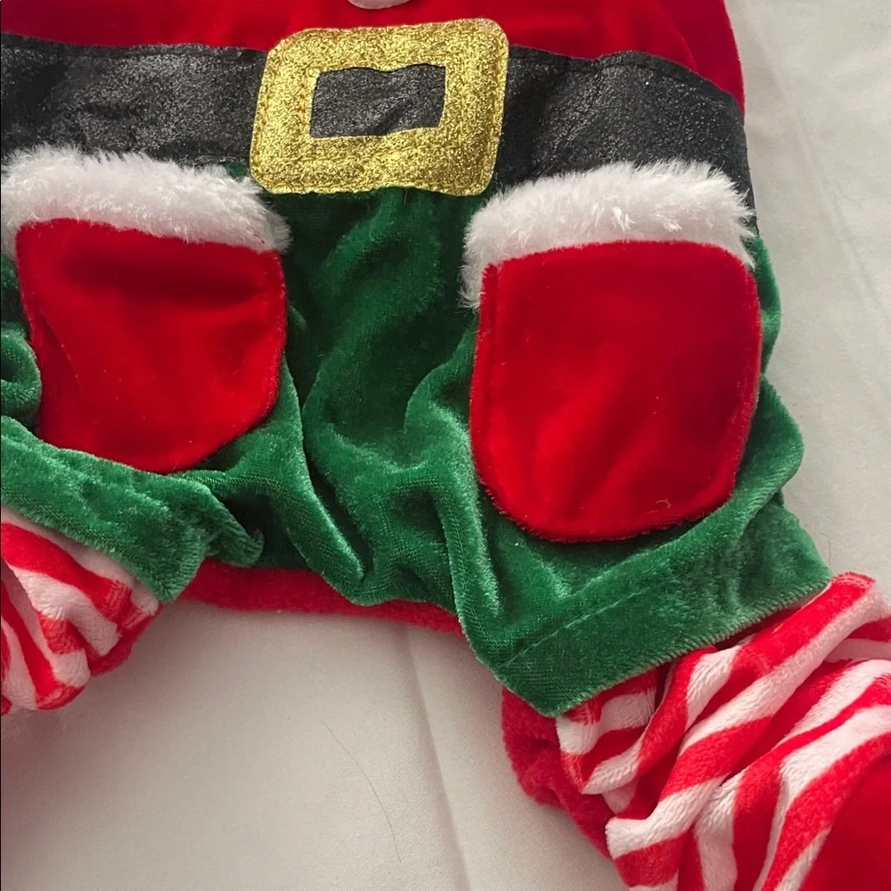 Elf Doggie Outfit for 5-6 pound dog